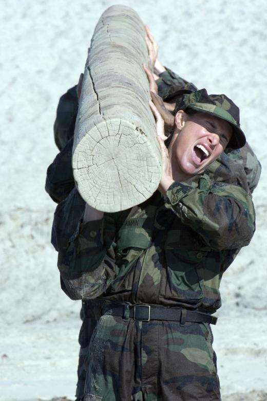 Free stock image of Lifting the Log created by Pixabay