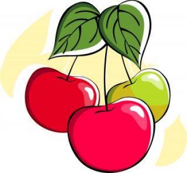 Berries Vector Illustration