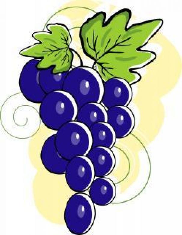 Free stock image of Grapes with leafs	- Vector Illustration created by maa illustrations