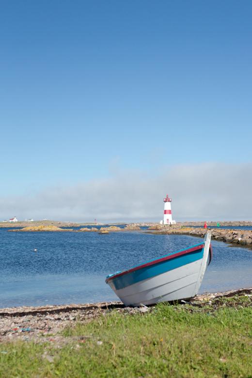 Free stock image of Dory created by Geoffrey Whiteway