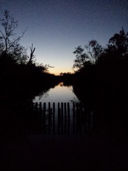 Sunset river scene - Free Stock Photo