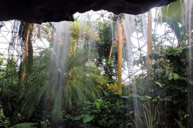Free stock image of Botanical Garden created by Pixabay