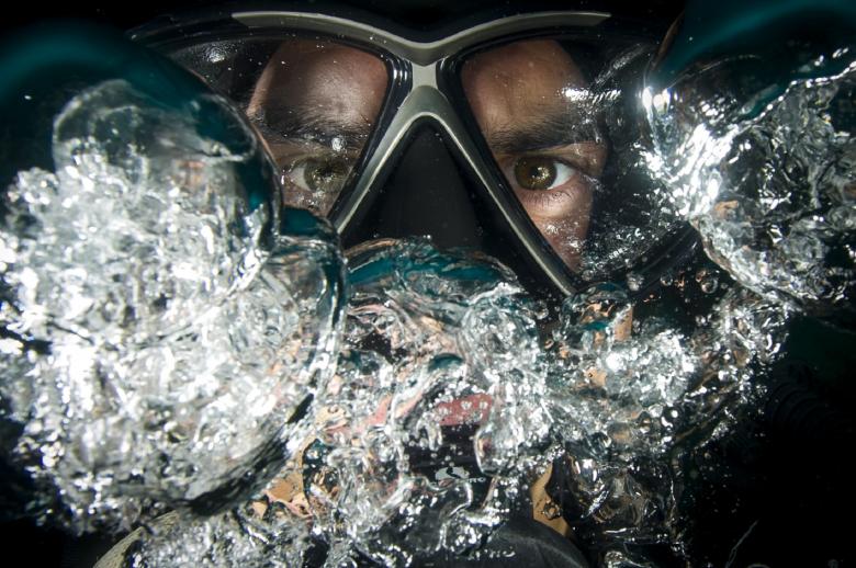Free stock image of Underwater created by Pixabay