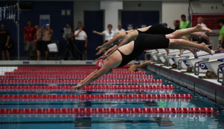 Free stock image of Swimming in the Pool created by Pixabay