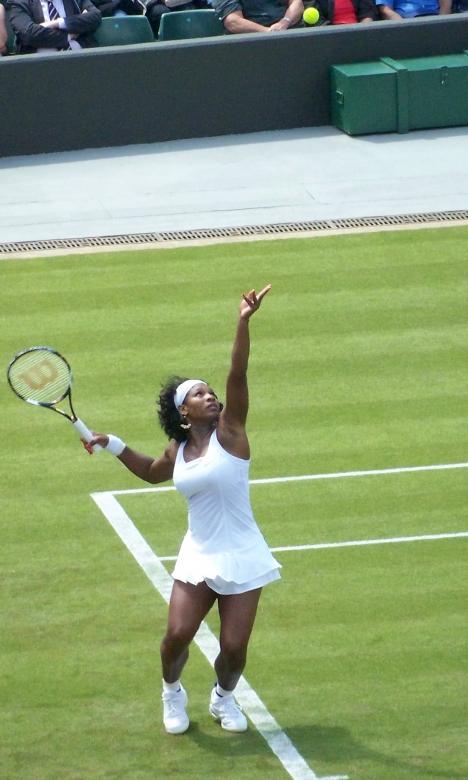 Free stock image of Serena Williams created by Pixabay