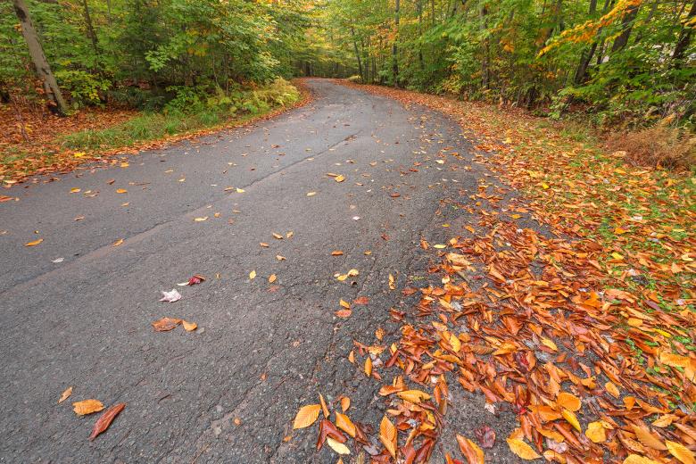 Free stock image of Winding Autumn Forest Road - HDR created by Nicolas Raymond