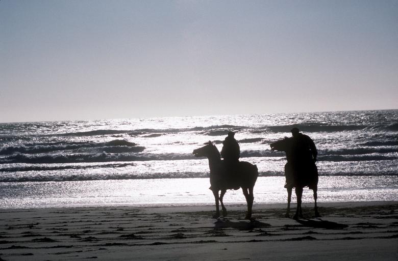 Free stock image of Horse Riding on the Shore created by Pixabay