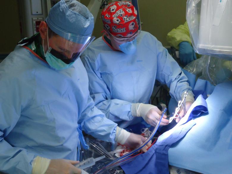 Free stock image of Group of Surgeons Operating created by Pixabay
