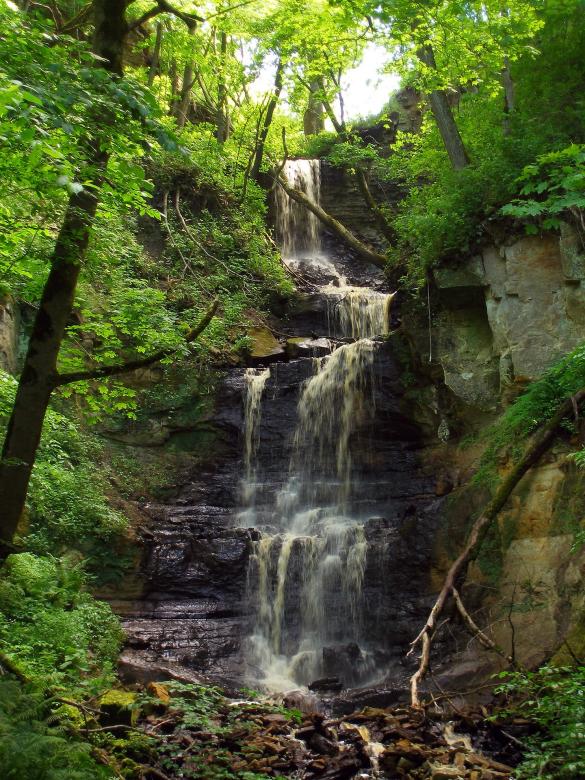 Free stock image of Nature created by Pixabay