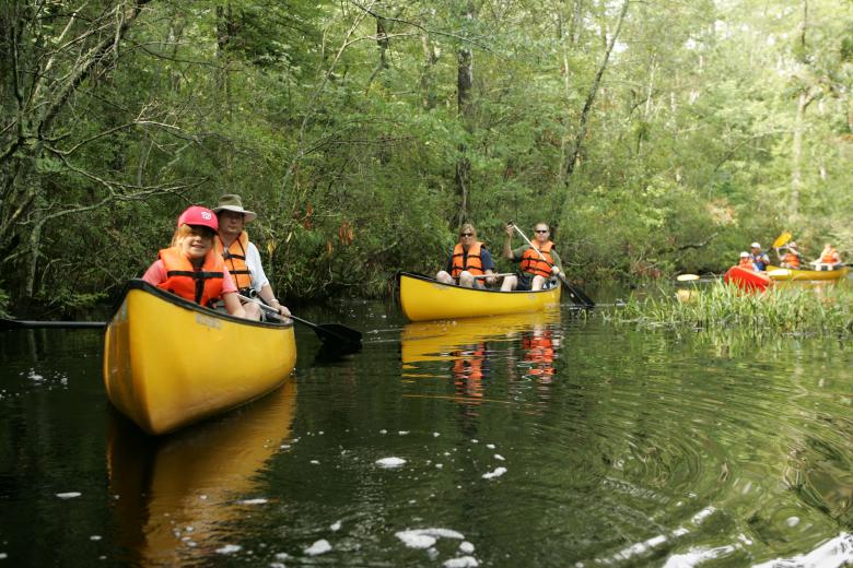 Free stock image of Family Canoeing created by Pixabay