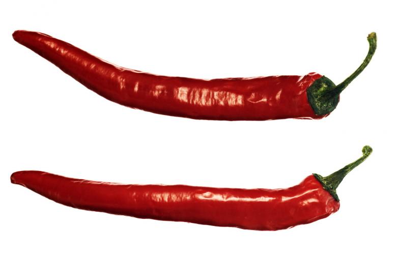 Free stock image of peppers created by 2happy