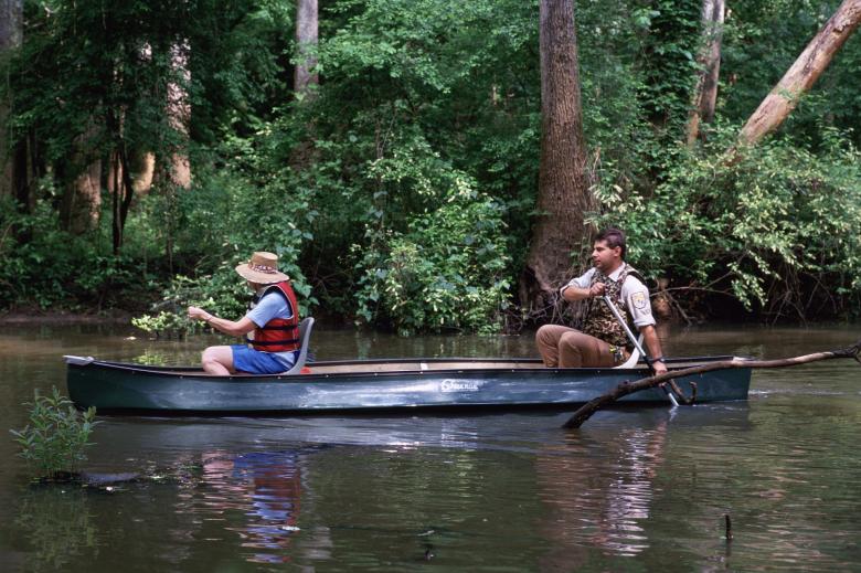 Free stock image of Boating in the River created by Pixabay