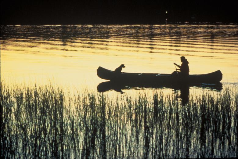 Free stock image of Canoeing in the River created by Pixabay