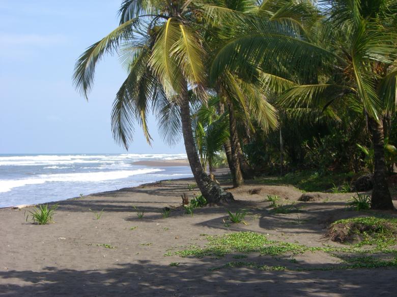 Free stock image of Beach View created by Pixabay