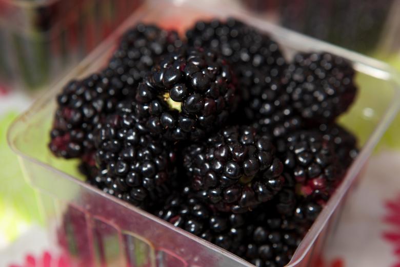 Free stock image of Black Berries created by Pixabay