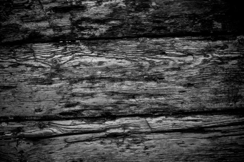 Free stock image of Grunge Wood Texture created by Free Texture Friday
