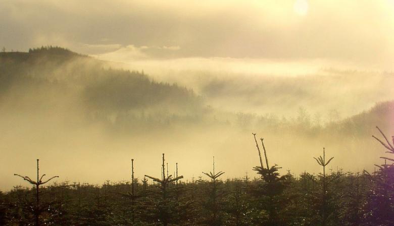 Free stock image of Foggy created by Pixabay