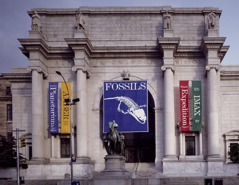 Free stock image of Old Museum created by Pixabay
