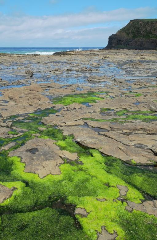 Free stock image of Green Slime created by Pixabay