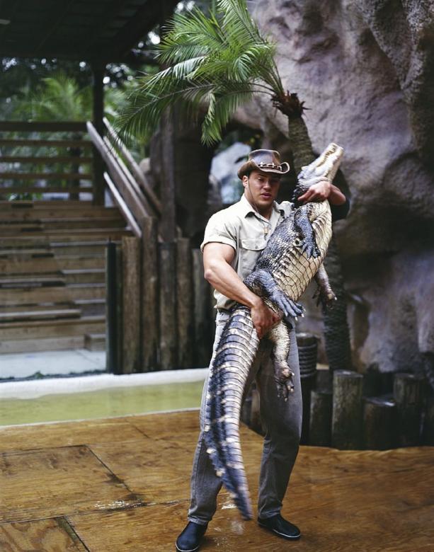 Free stock image of Alligator Wrestler created by Pixabay