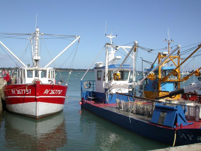 Free stock image of Boats on the Port created by Pixabay