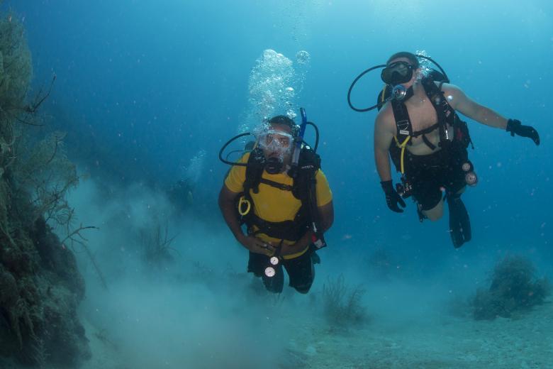 Free stock image of Scuba Divers in the Ocean created by Pixabay
