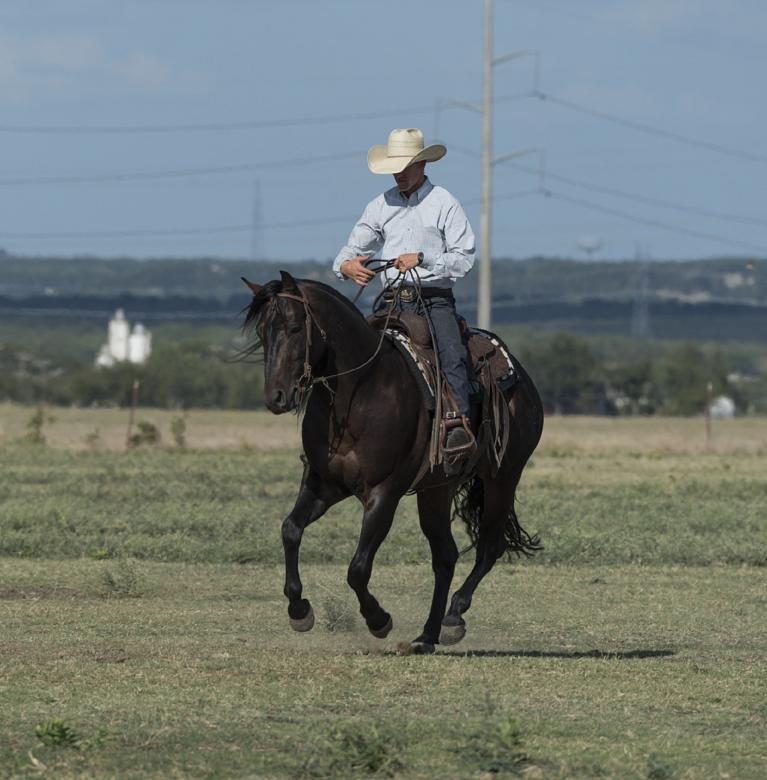 Free stock image of Horse Riding created by Pixabay