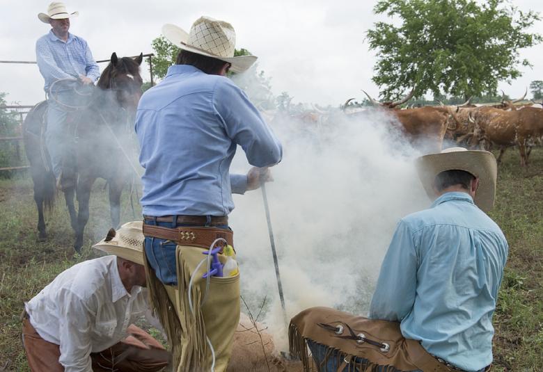 Free stock image of Cowboys in the Farm created by Pixabay