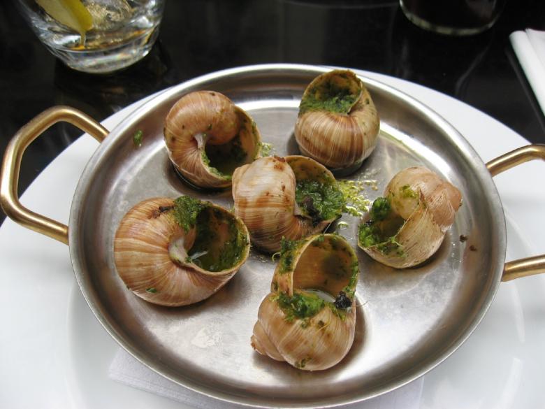 Free stock image of Snail Dish created by Pixabay
