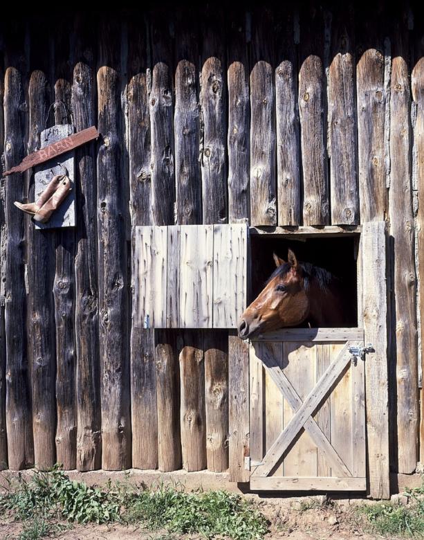 Free stock image of Horse Stable created by Pixabay