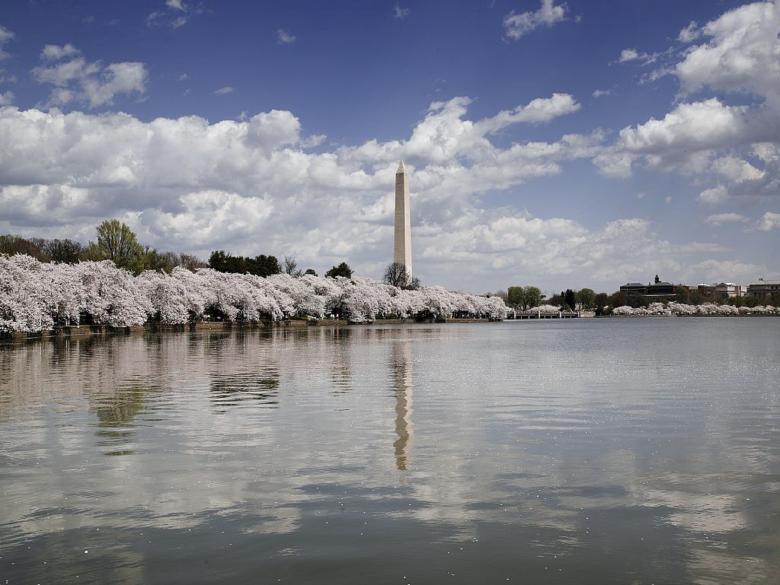 Free stock image of Washington Monument created by Pixabay