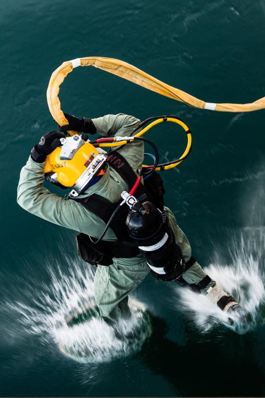 Free stock image of Diving in the Sea created by Pixabay