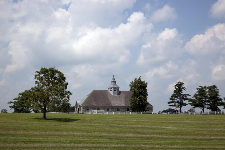 Free stock image of Kentucky Horse Farm created by Pixabay