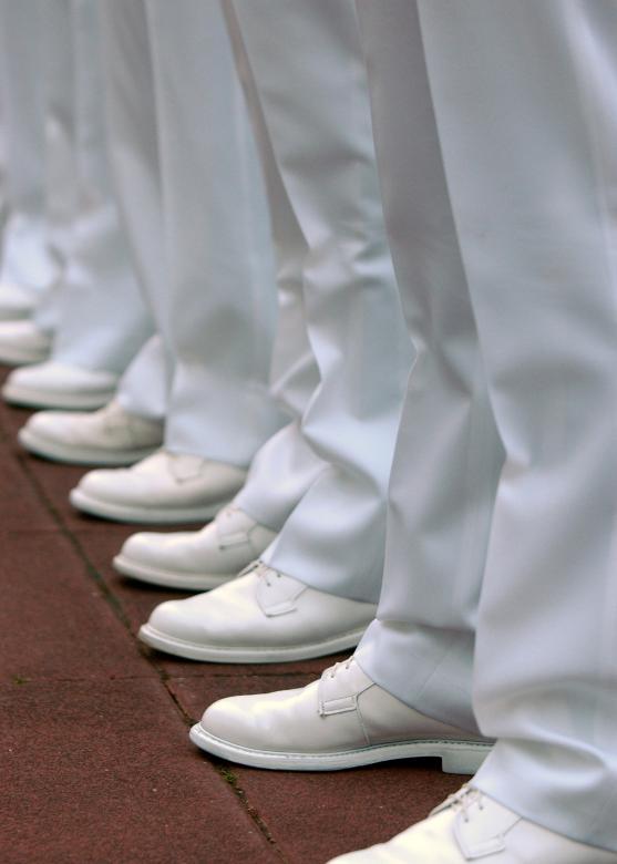 Free stock image of Military Inspection created by Pixabay