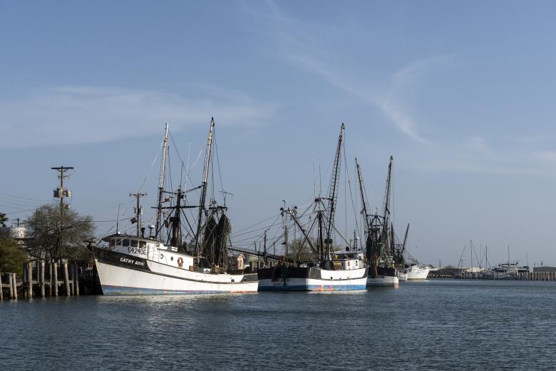 Free stock image of Shrimp Boats created by Pixabay