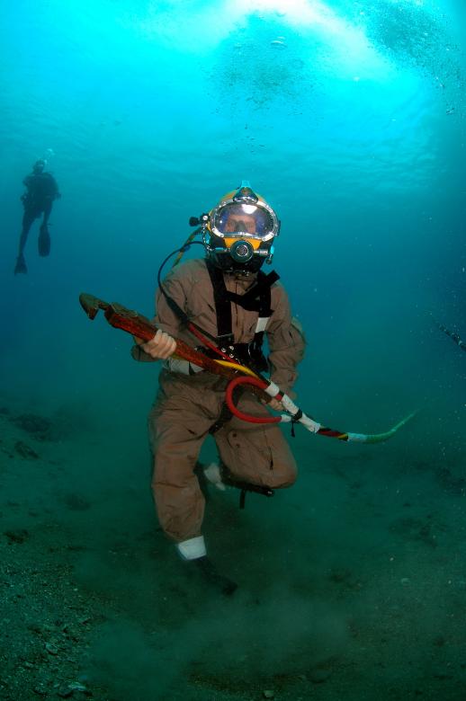 Free stock image of Diver in the Sea created by Pixabay