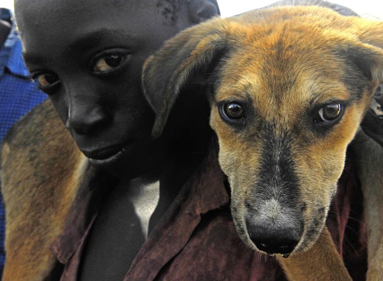 Free stock image of Boy with the Dog created by Pixabay