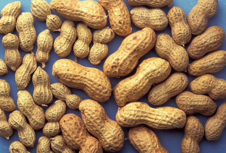 Free stock image of Fresh Peanuts created by Pixabay
