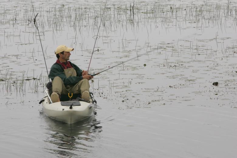 Free stock image of Fishing in the River created by Pixabay