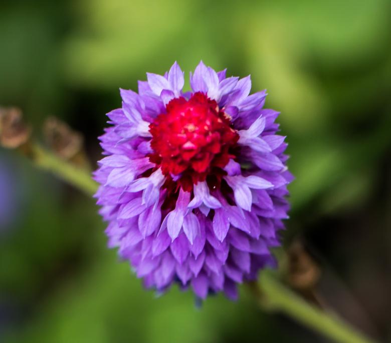 Free stock image of Harmony  created by Janis Urtans