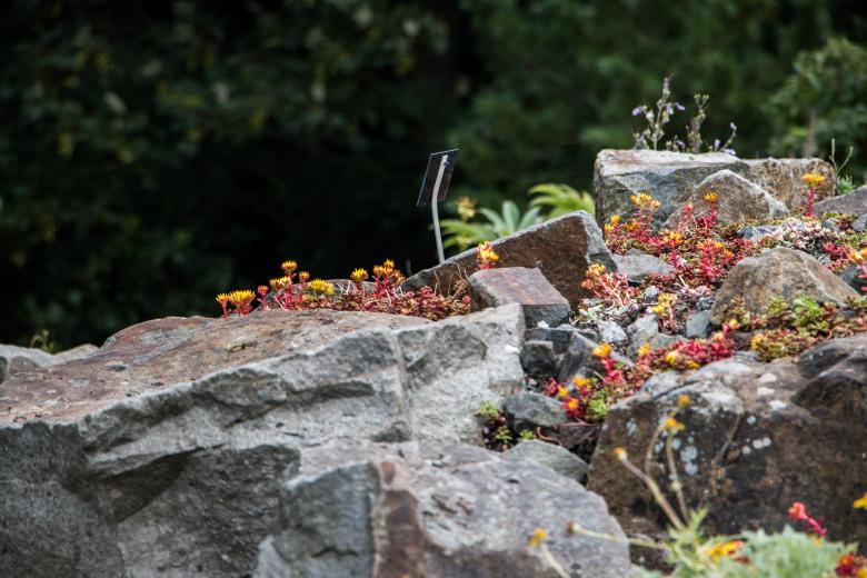 Free stock image of Stones created by Janis Urtans