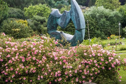 Free Stock Photo of Sculpture in a bush of flowers
