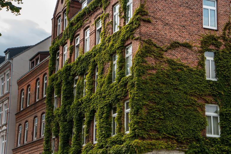 Free stock image of Green house created by Janis Urtans