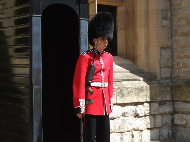 Free stock image of Welsh Guardsman created by Pixabay