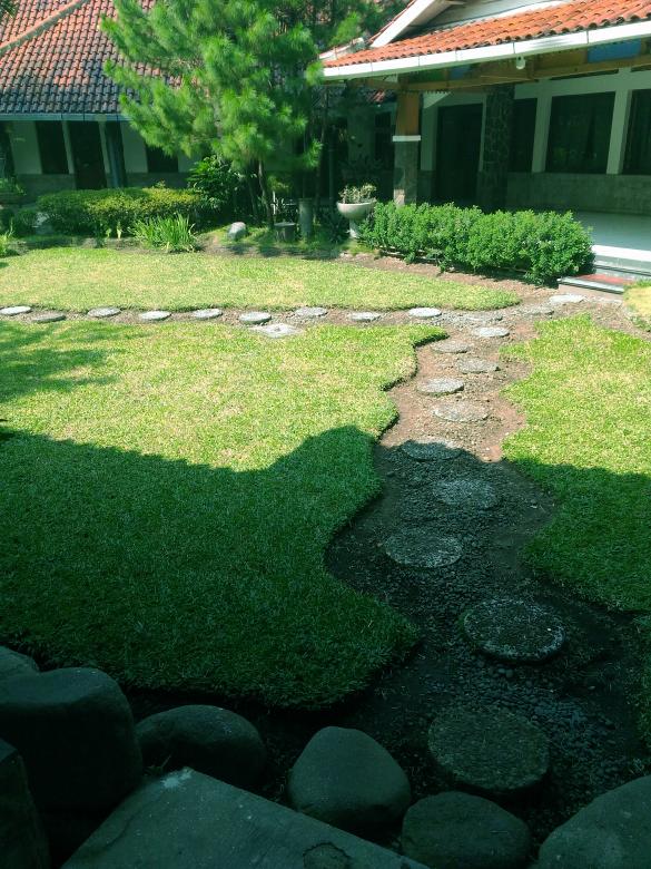 Free stock image of Green Garden created by B