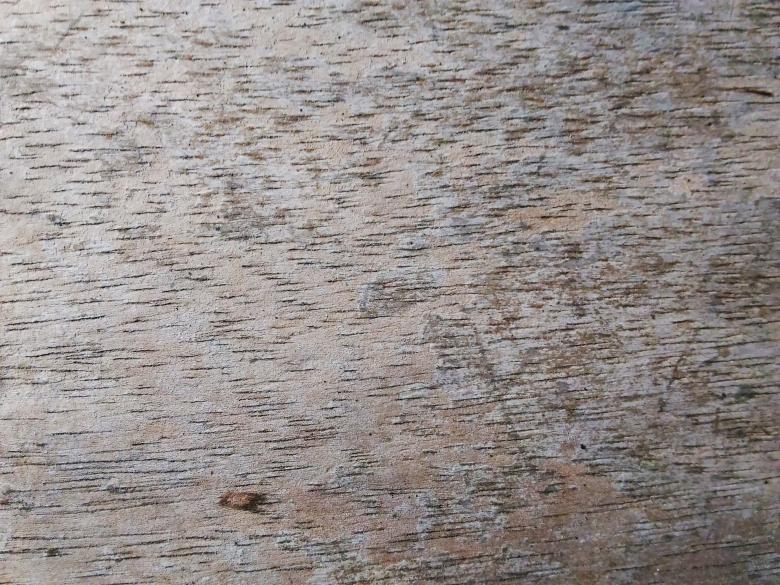 Free stock image of The Wood Texture created by B