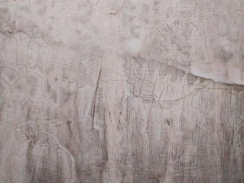 Free stock image of Wall Texture created by B