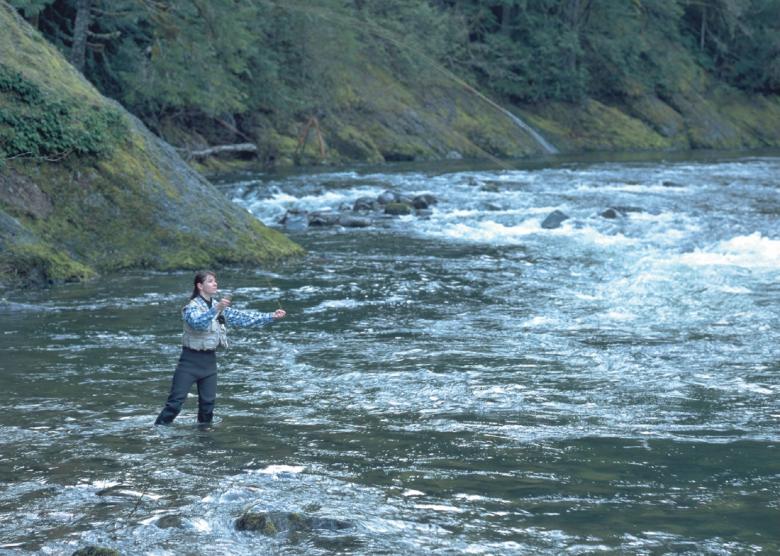 Free stock image of Fishing in the River created by Pixabay