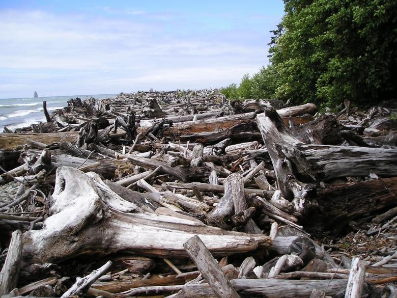 Free stock image of Log Jam created by Pixabay
