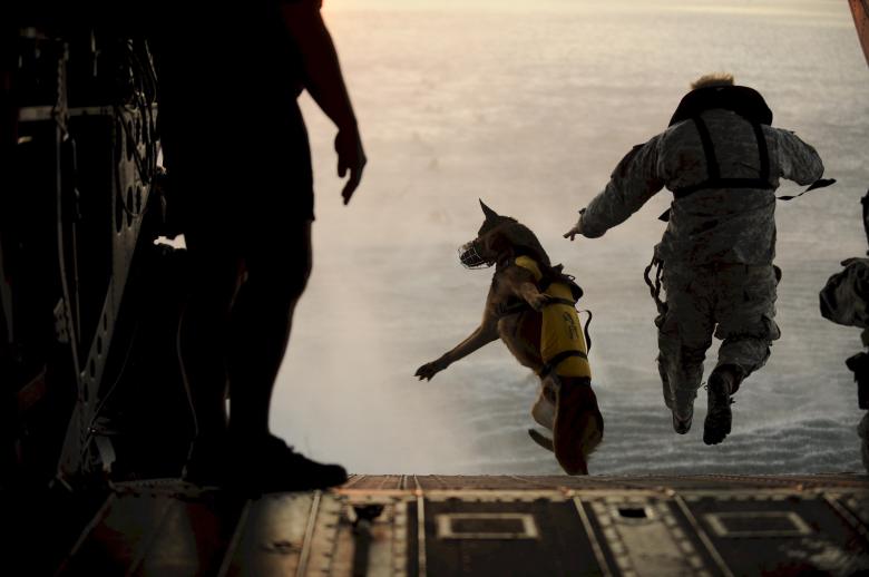 Free stock image of Military Skydivers created by Pixabay